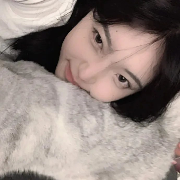寻找法蒂玛
